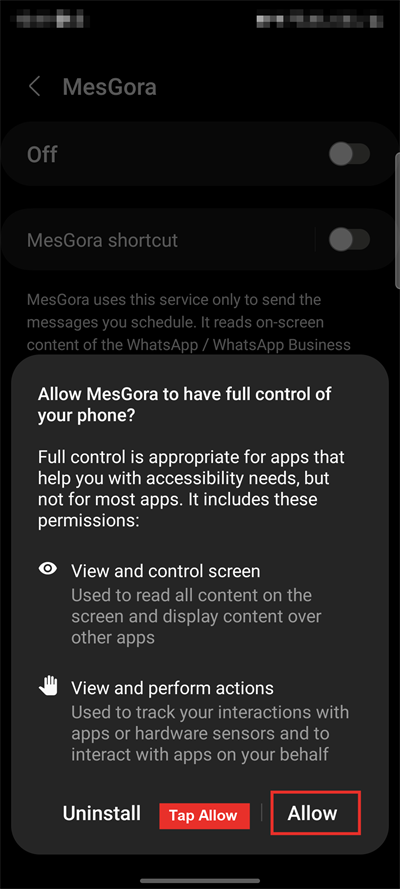 MesGora accessibility toggle