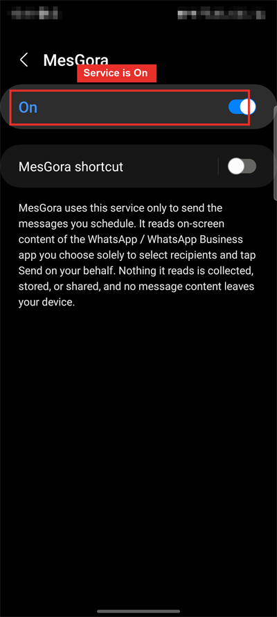 MesGora accessibility service turned on